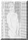 7.jpg (937048 bytes)